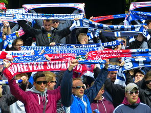 开云·体育官网-球迷文化盛宴：从欧洲到亚洲的足球狂欢，中国足球球迷文化