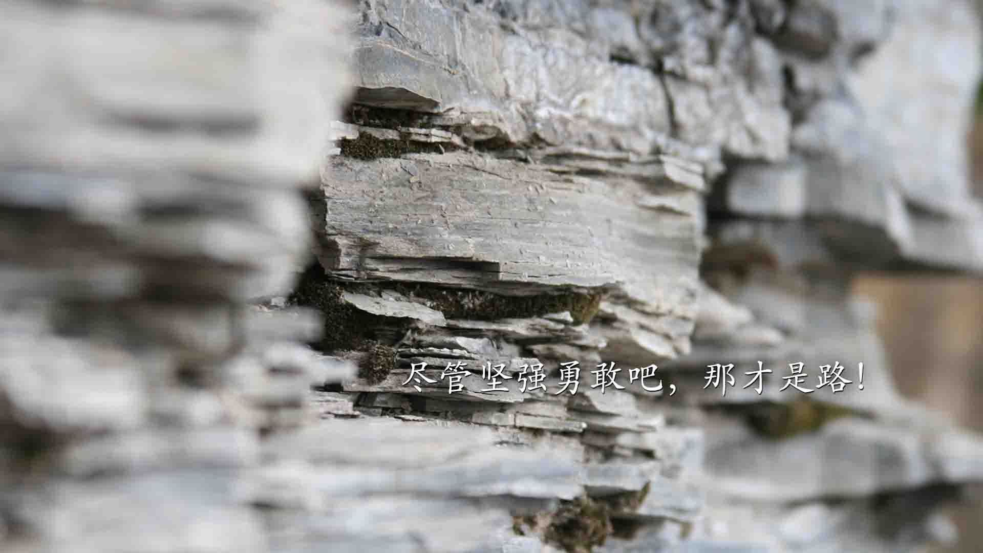 2025湖滨赛场:速度与激情在兴隆湖上演,兰考到开封的车