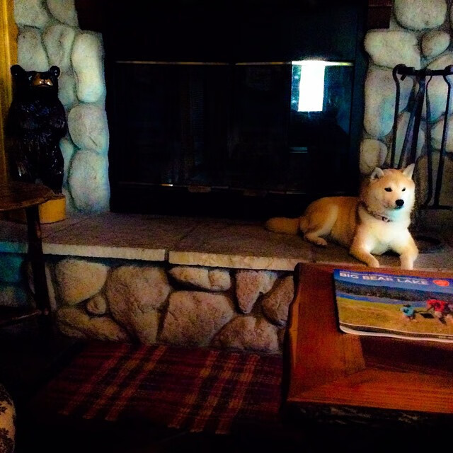 “费尔南多·比亚尔巴:阿根廷橄榄球的技艺与智慧的结合体”